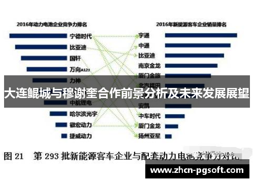 大连鲲城与穆谢奎合作前景分析及未来发展展望