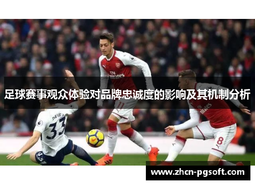 足球赛事观众体验对品牌忠诚度的影响及其机制分析