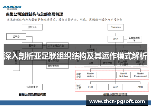 深入剖析亚足联组织结构及其运作模式解析
