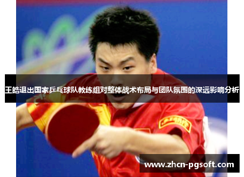 王皓退出国家乒乓球队教练组对整体战术布局与团队氛围的深远影响分析