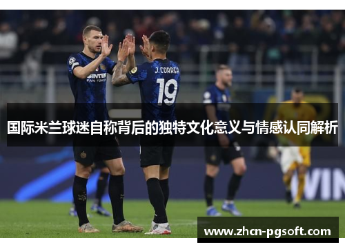 国际米兰球迷自称背后的独特文化意义与情感认同解析